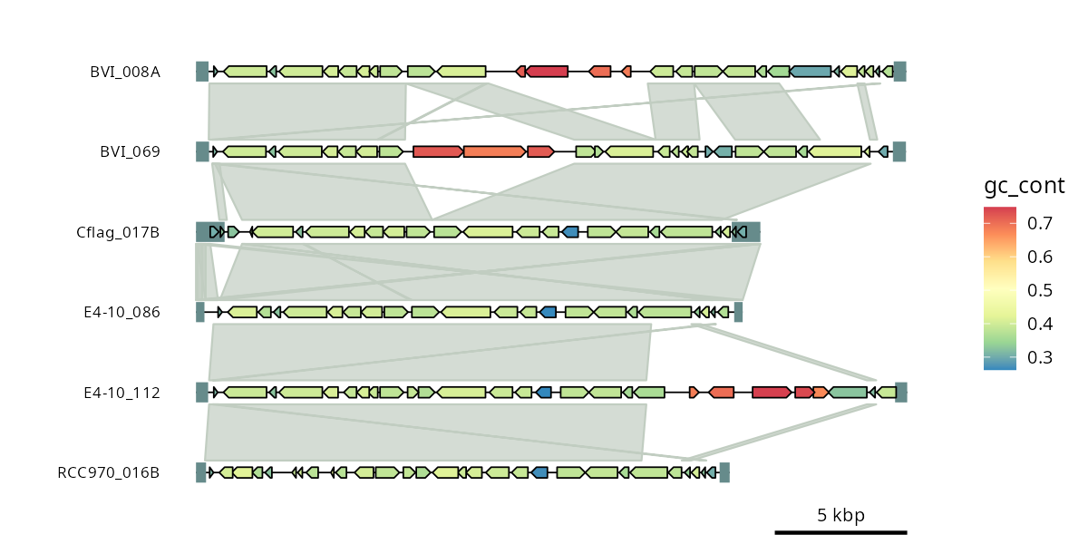 all genomes oriented consistently